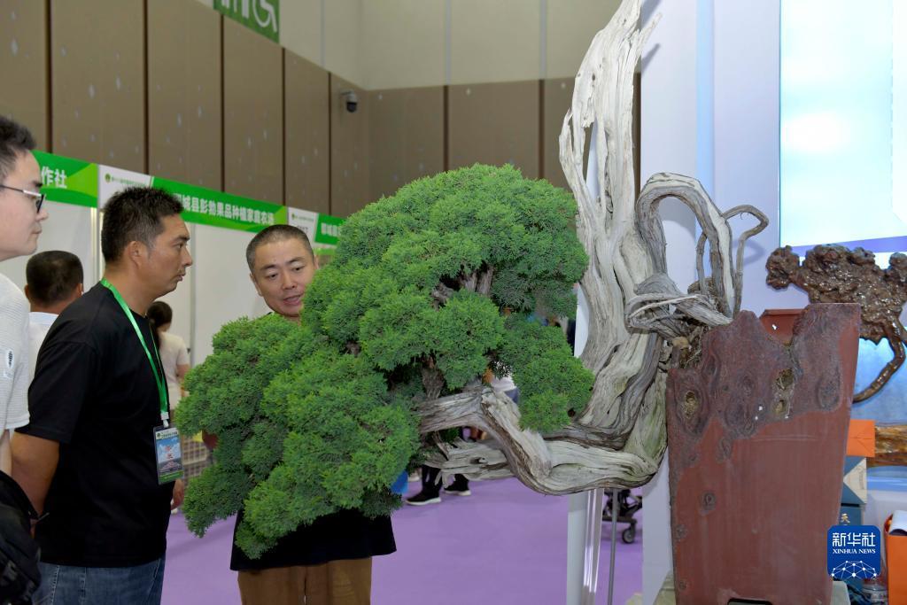 炸金花一元